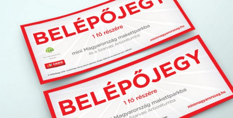 AZ UTOLSÓ HAZAI EDZŐMÉRKŐZÉS JEGYEI